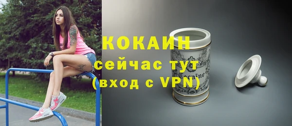меф Арсеньев