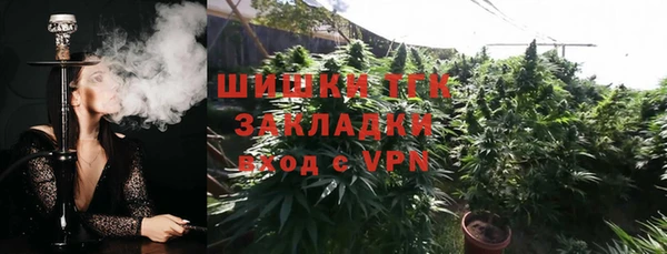 меф Арсеньев