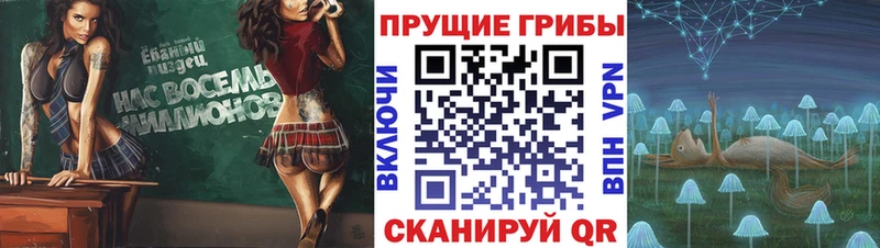 Галлюциногенные грибы Magic Shrooms  кракен ТОР  Карачаевск 